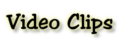 Video Clips